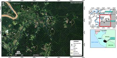 Forest Degradation and Inter-annual Tree Level Brazil Nut Production in the Peruvian Amazon
